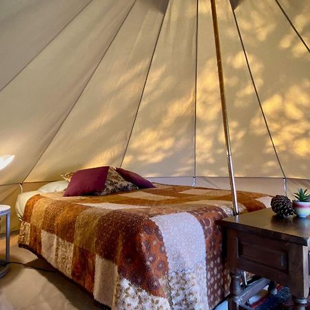 Glamping Spot - La Flotte En Re Hotel Eksteriør billede